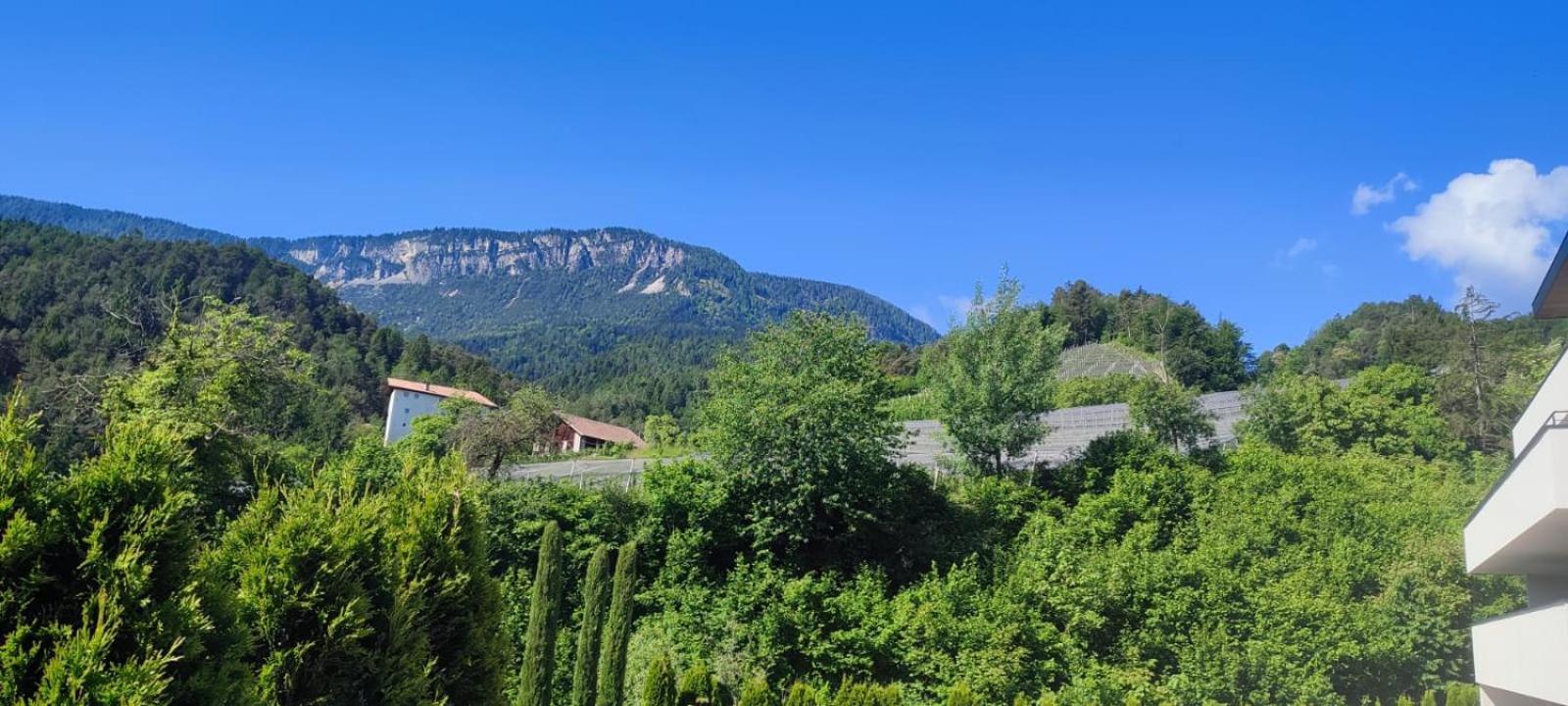 Janas Bolzano Mountain Apartment 테시모 외부 사진